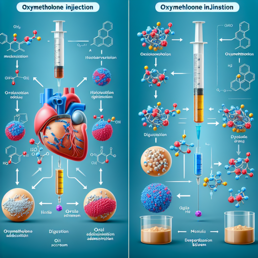 Vergleich der Wirksamkeit: Oxymetholon-Injektion versus orale Anwendung von Oxymetholon.